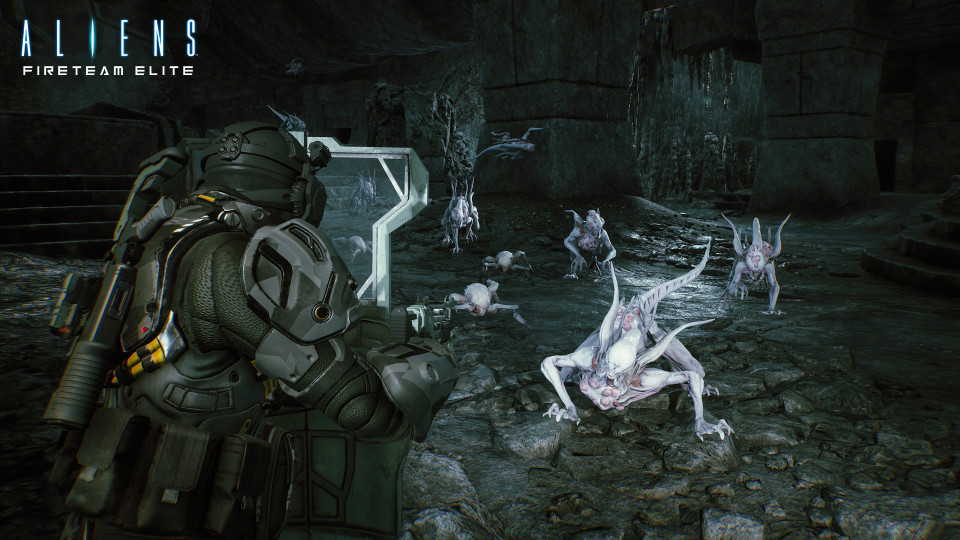 Aliens: Fireteam Elite - Into the Hive Edition