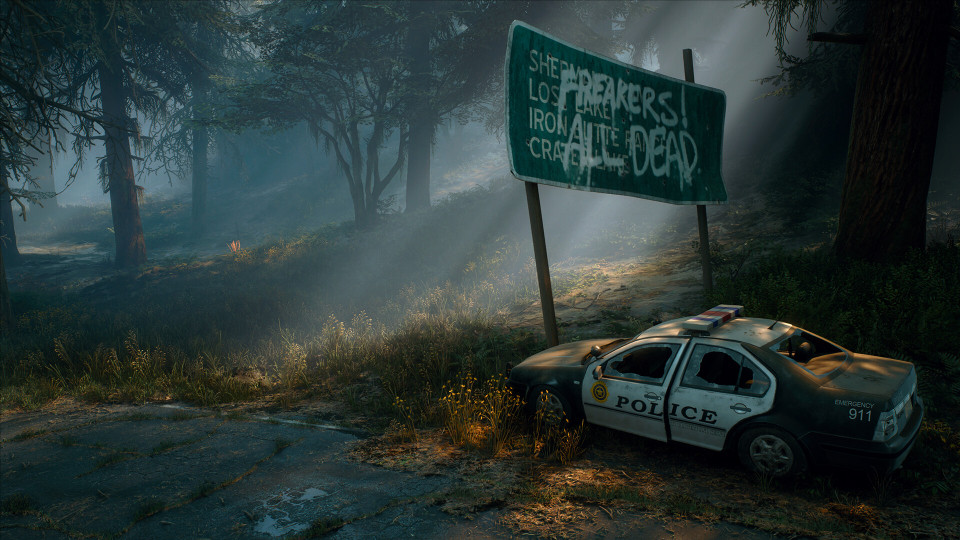 Days Gone: Broken Road