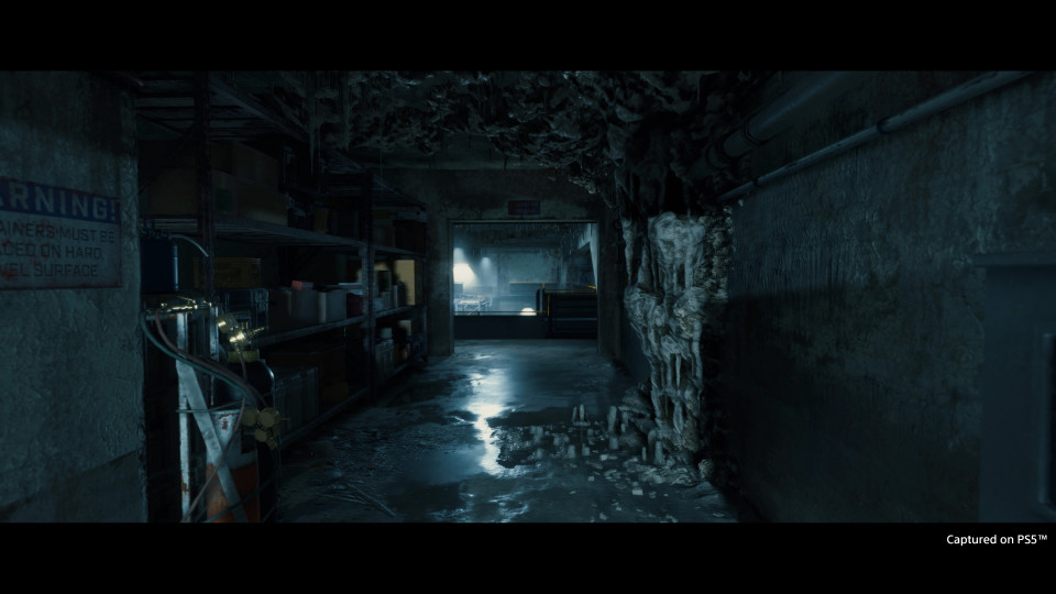 Death Stranding Director's Cut Upgrade