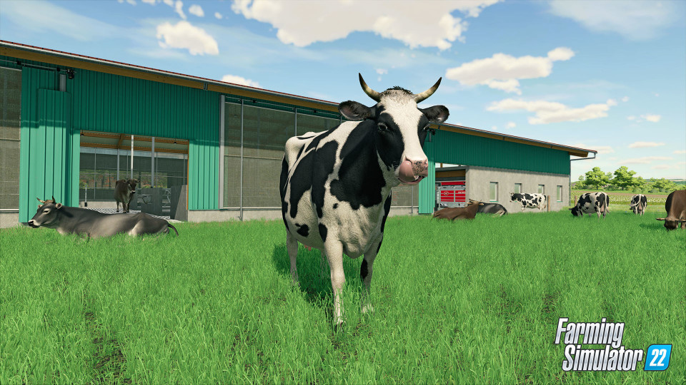 Farming Simulator 22 - Year 1 Bundle