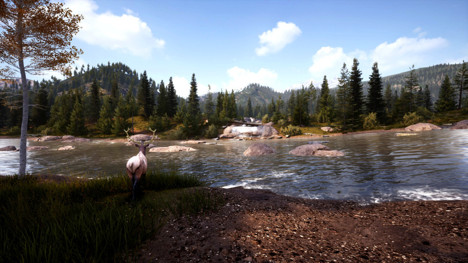 Hunting Simulator 2: Bear Hunter Pack