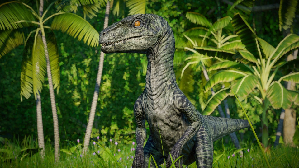 Buy Jurassic World Evolution Raptor Squad Skin Collection Pc Dlc Steam Key Noctre 