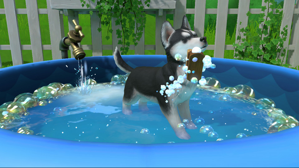 Little Friends: Puppy Island