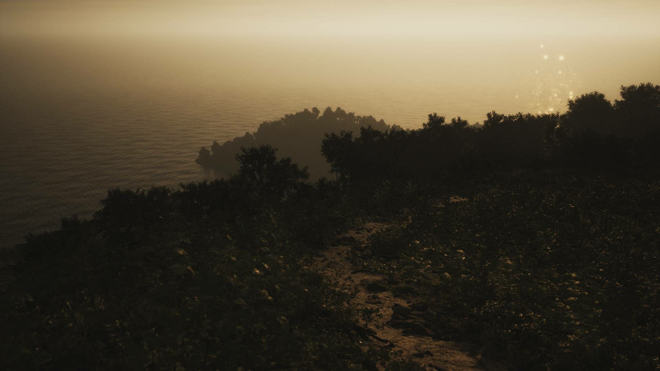 Lushfoil Photography Sim