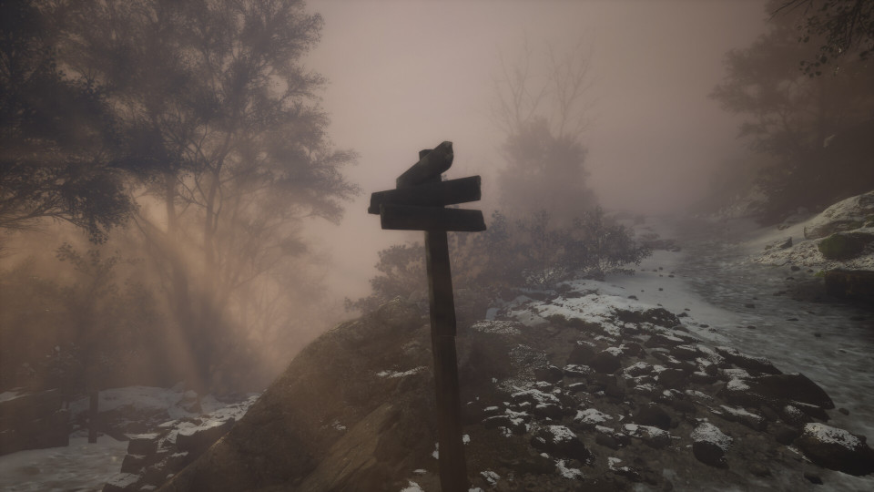 Lushfoil Photography Sim