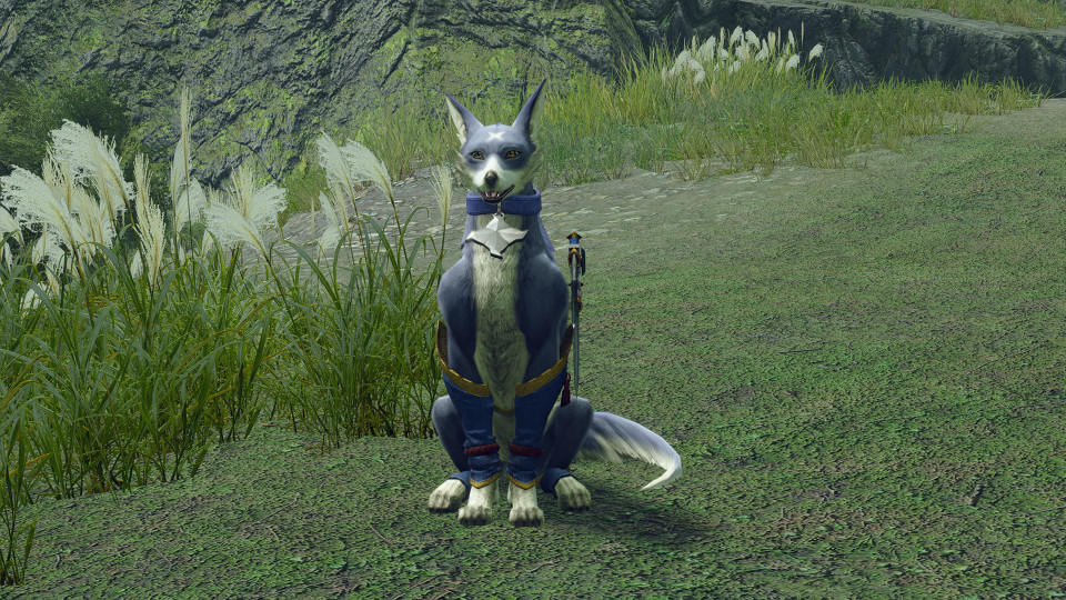 MONSTER HUNTER RISE: SUNBREAK DELUXE EDITION