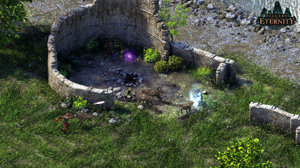 Pillars of Eternity - Definitive Edition
