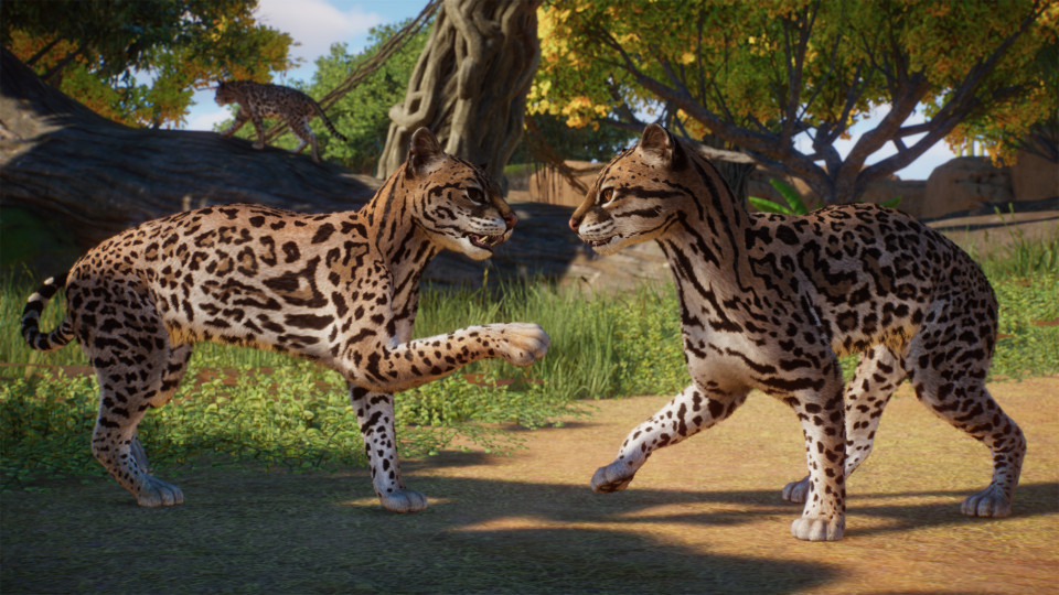 Planet Zoo: Americas Animal Pack