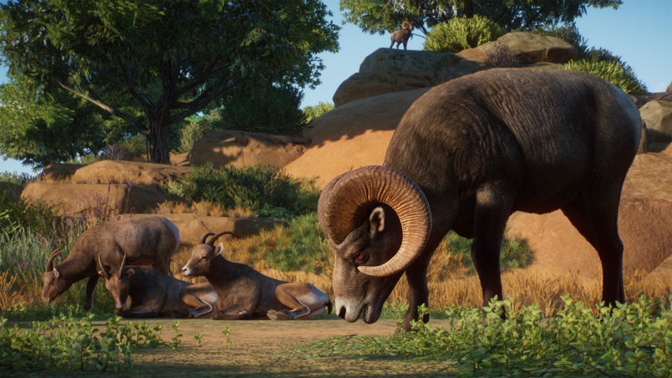 Planet Zoo: Americas Animal Pack