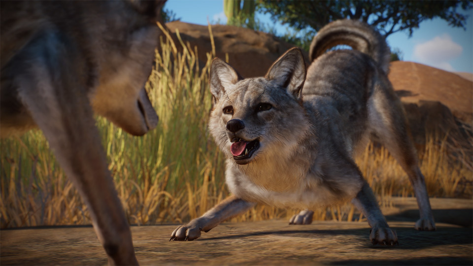 Planet Zoo: Americas Animal Pack
