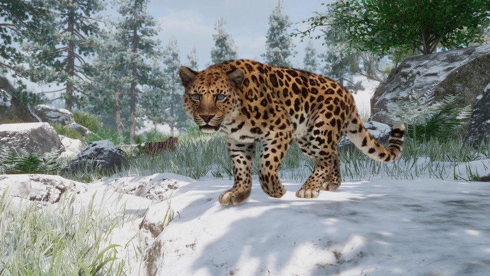 Planet Zoo: Conservation Pack