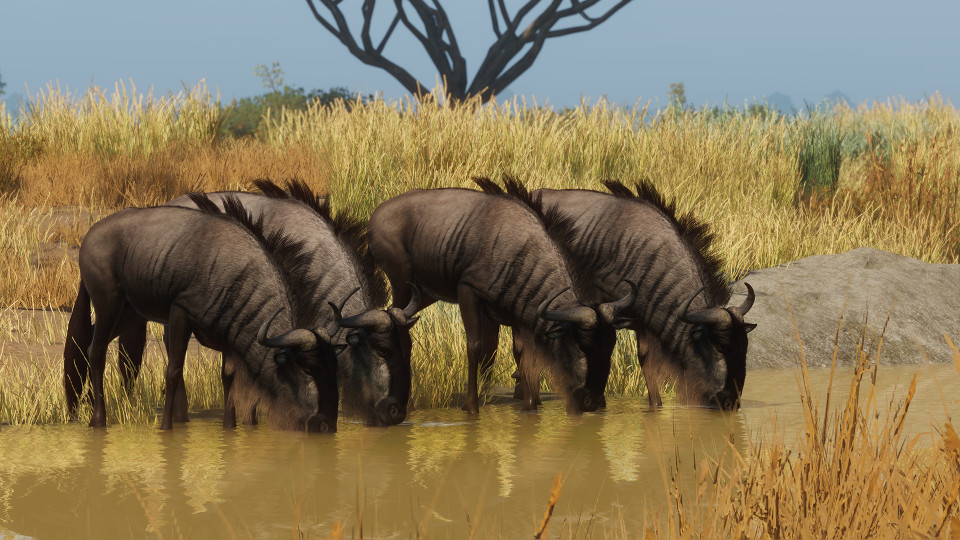 Planet Zoo: Grasslands Animal Pack