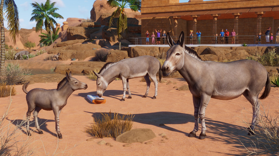 Planet Zoo: The Arid Animal Pack