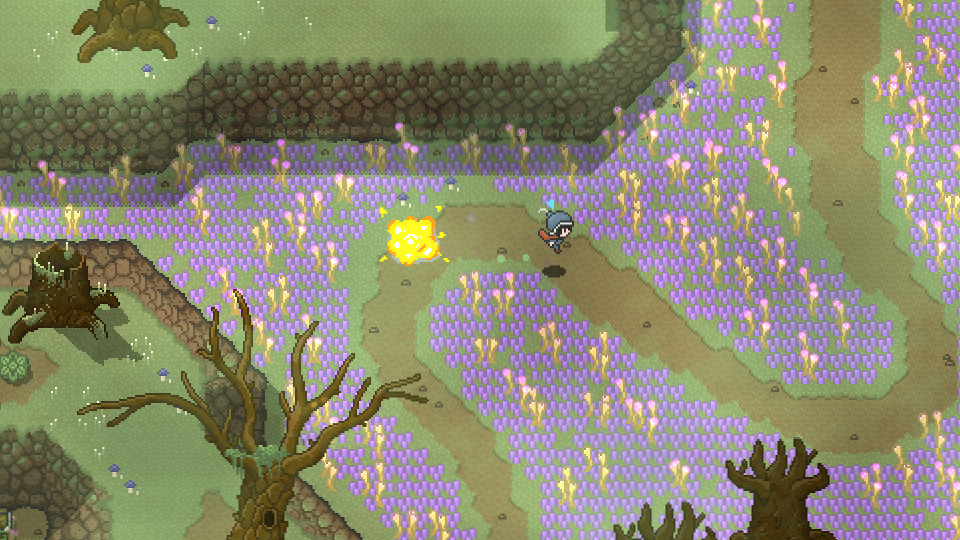 Rogue Heroes: Ruins of Tasos Bomber Class Pack