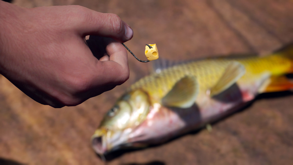 SCUM - Supporter Bundle