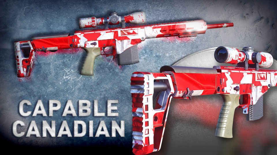 Sniper Ghost Warrior Contracts - World Flags Skin Pack