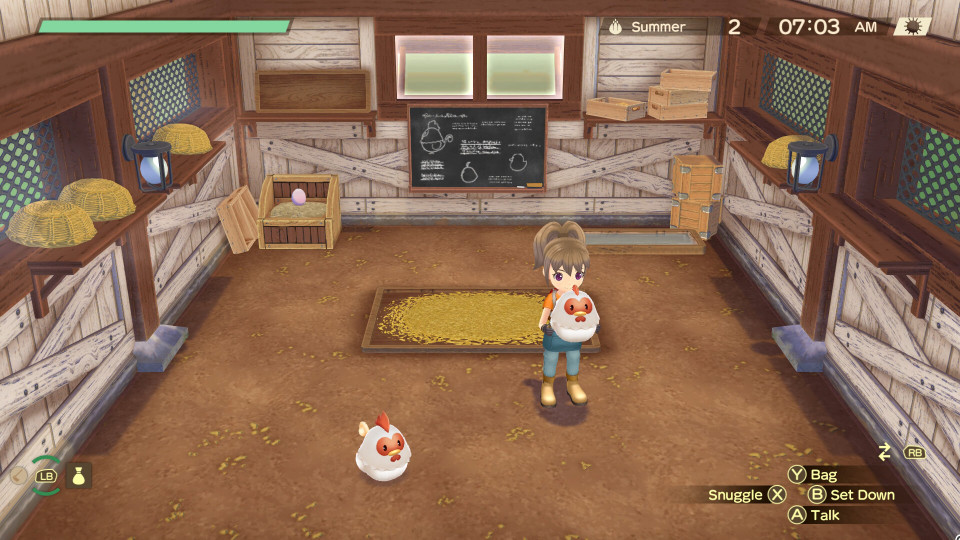 Story of Seasons: A Wonderful Life