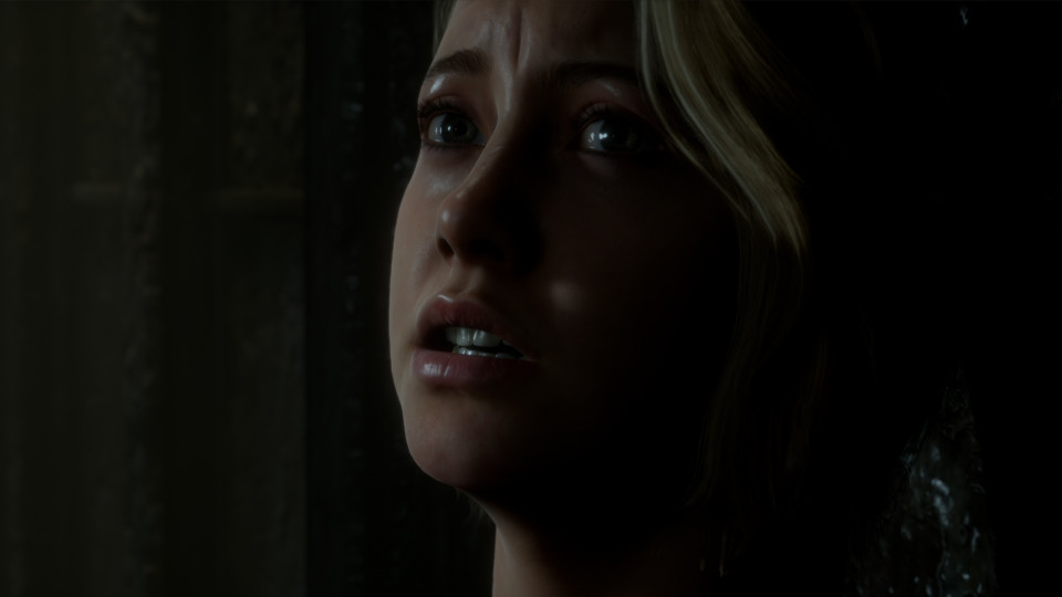 The Dark Pictures Anthology: Man Of Medan