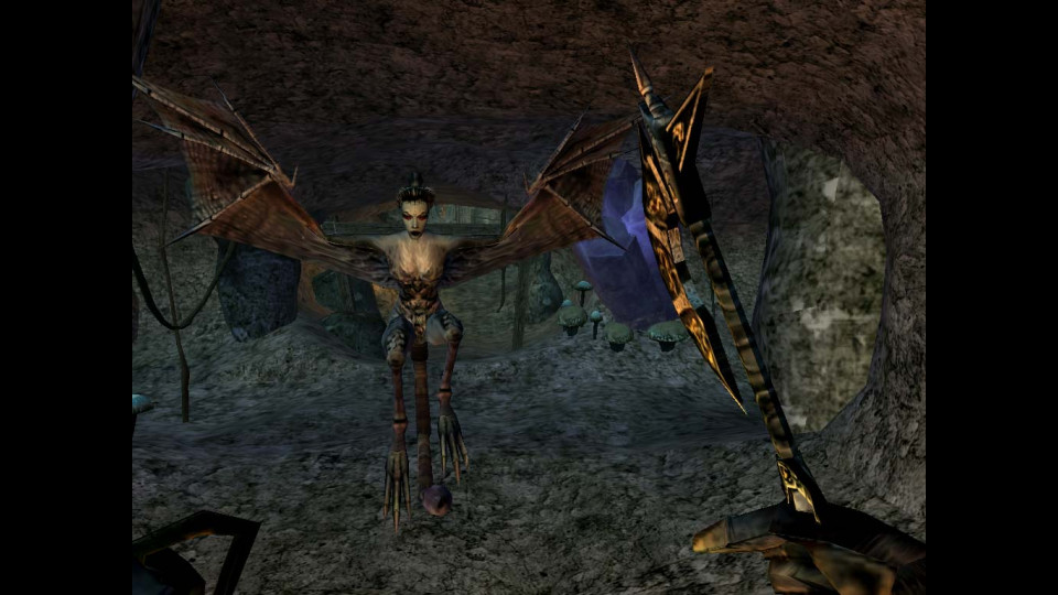 The Elder Scrolls III: Morrowind Game of the Year Edition