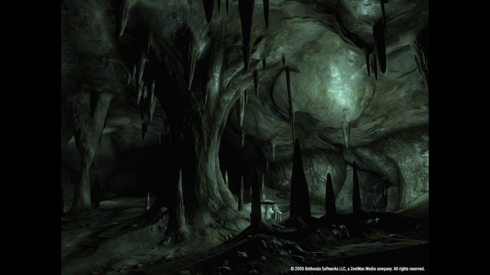 The Elder Scrolls IV: Oblivion - Game of the Year Edition