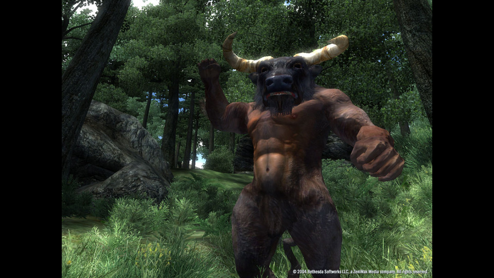 The Elder Scrolls IV: Oblivion - Game of the Year Edition