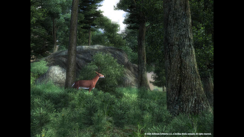 The Elder Scrolls IV: Oblivion - Game of the Year Edition