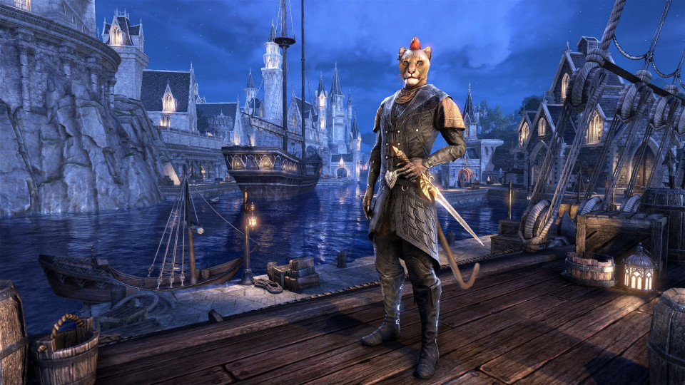 The Elder Scrolls Online: Summerset Digital Collector's Edition Upgrade
