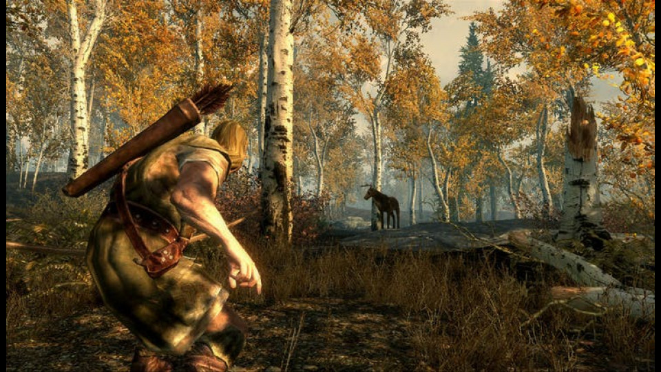 The Elder Scrolls V: Skyrim