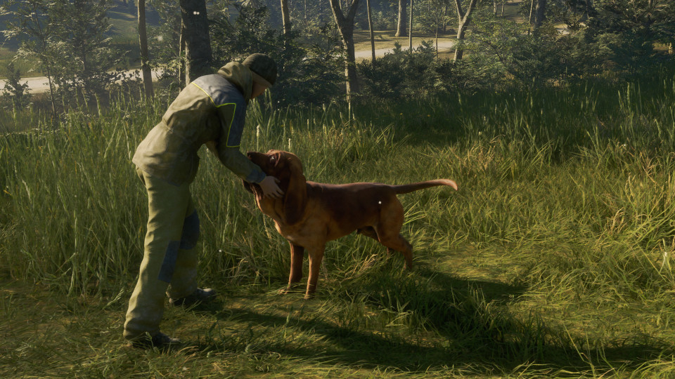 theHunter: Call of the Wild - Bloodhound