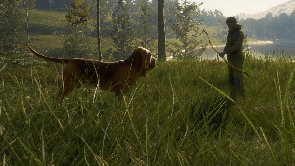 theHunter: Call of the Wild - Bloodhound