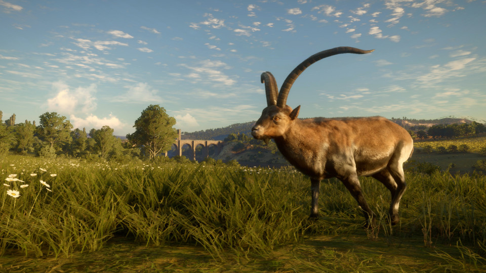 theHunter: Call of the Wild - Cuatro Colinas Game Reserve