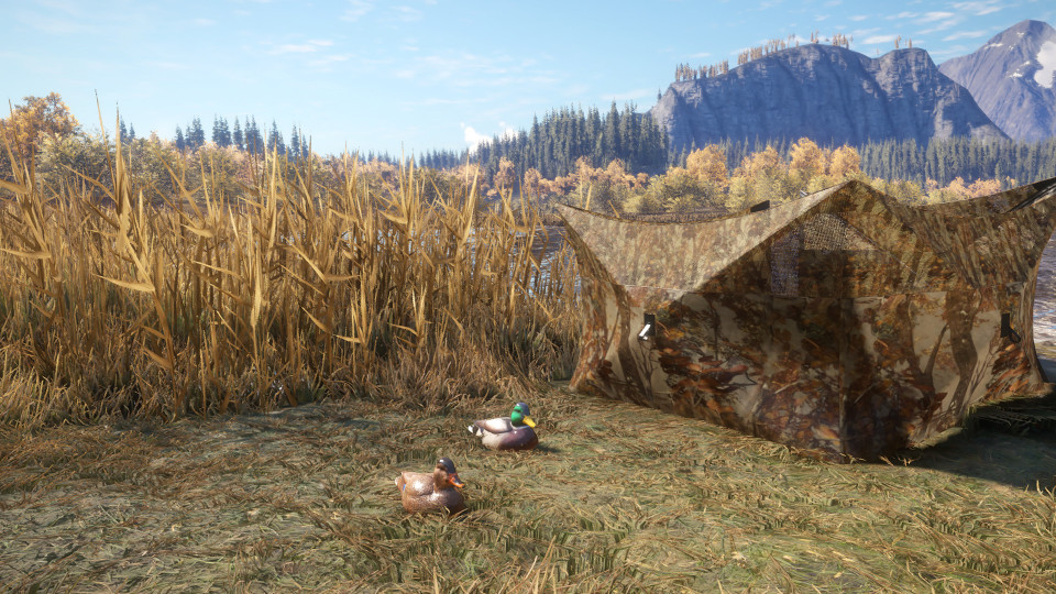 theHunter: Call of the Wild - Duck and Cover Pack