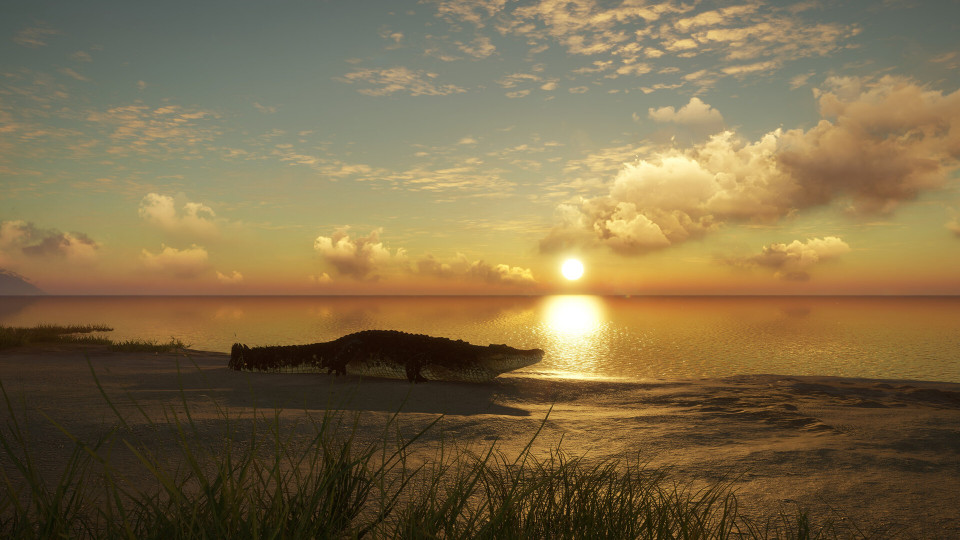theHunter: Call of the Wild - Emerald Coast Australia