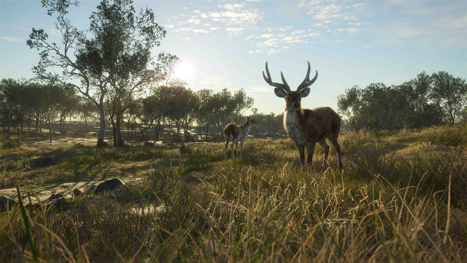 theHunter: Call of the Wild - Emerald Coast Australia