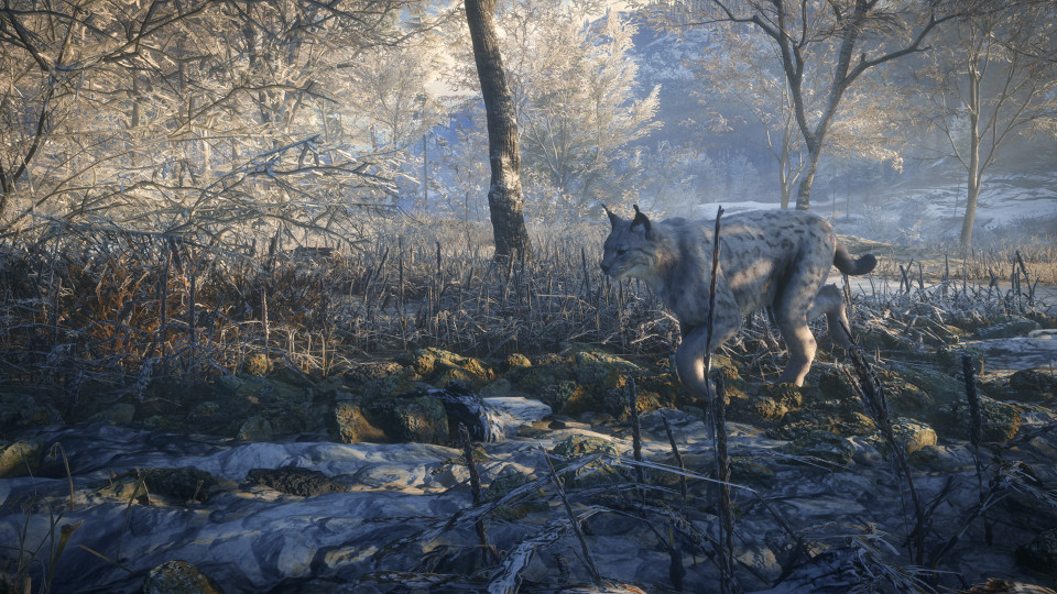 theHunter: Call of the Wild - Medved-Taiga