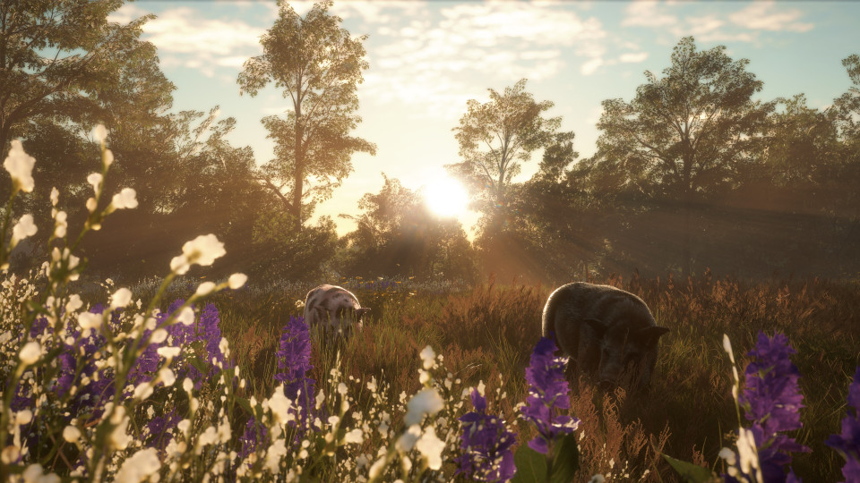 theHunter: Call of the Wild - Mississippi Acres Preserve