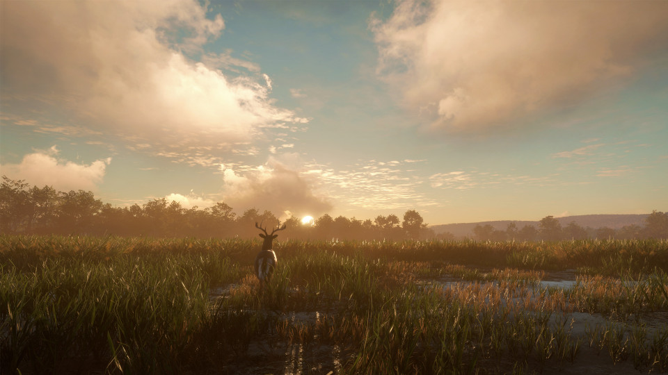 theHunter: Call of the Wild - Mississippi Acres Preserve