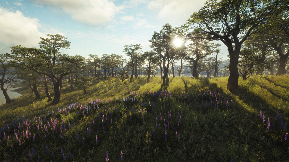 theHunter: Call of the Wild - Parque Fernando