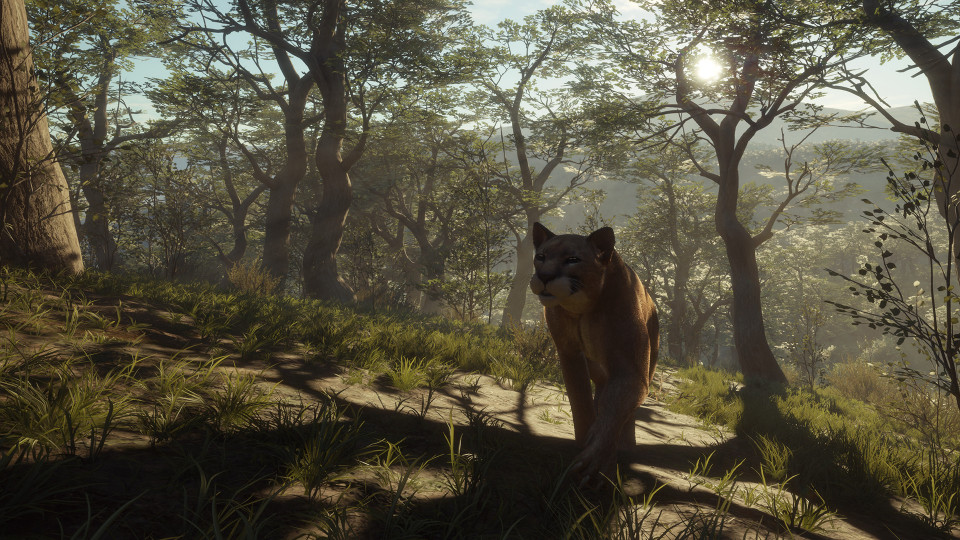 theHunter: Call of the Wild - Parque Fernando