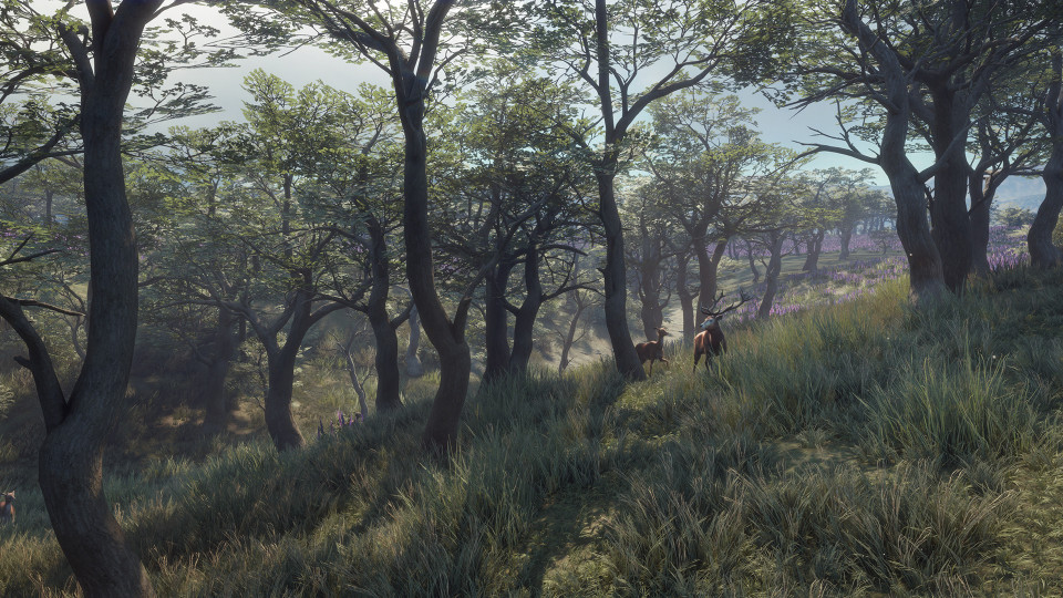 theHunter: Call of the Wild - Parque Fernando