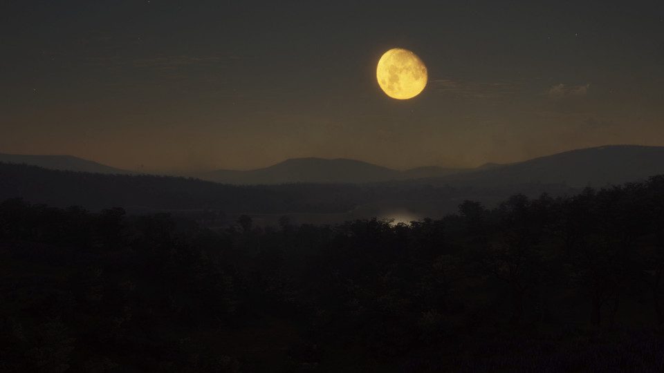 theHunter: Call of the Wild - Parque Fernando