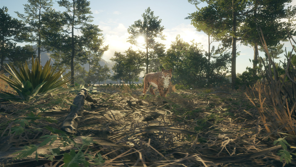 theHunter: Call of the Wild - Rancho del Arroyo