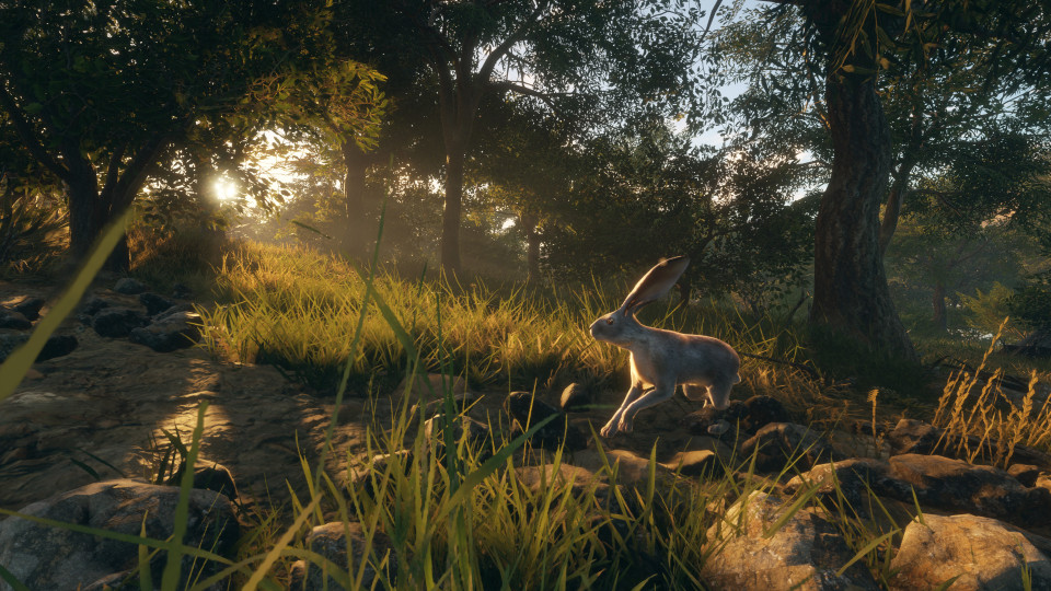 theHunter: Call of the Wild - Rancho del Arroyo