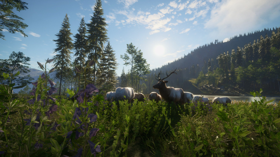 theHunter: Call of the Wild - Silver Ridge Peaks