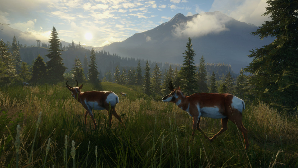 theHunter: Call of the Wild - Silver Ridge Peaks