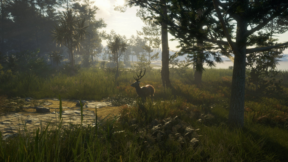 theHunter: Call of the Wild - Te Awaroa National Park