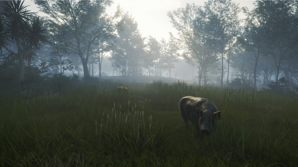 theHunter: Call of the Wild - Te Awaroa National Park