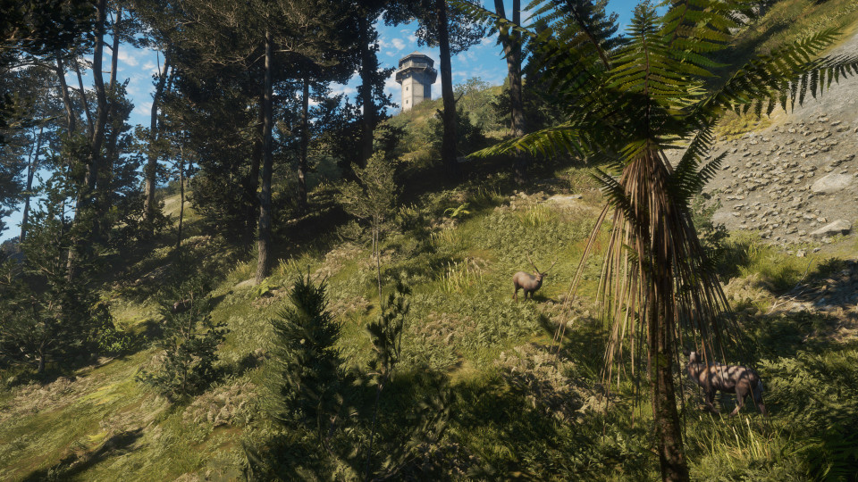 theHunter: Call of the Wild - Te Awaroa National Park