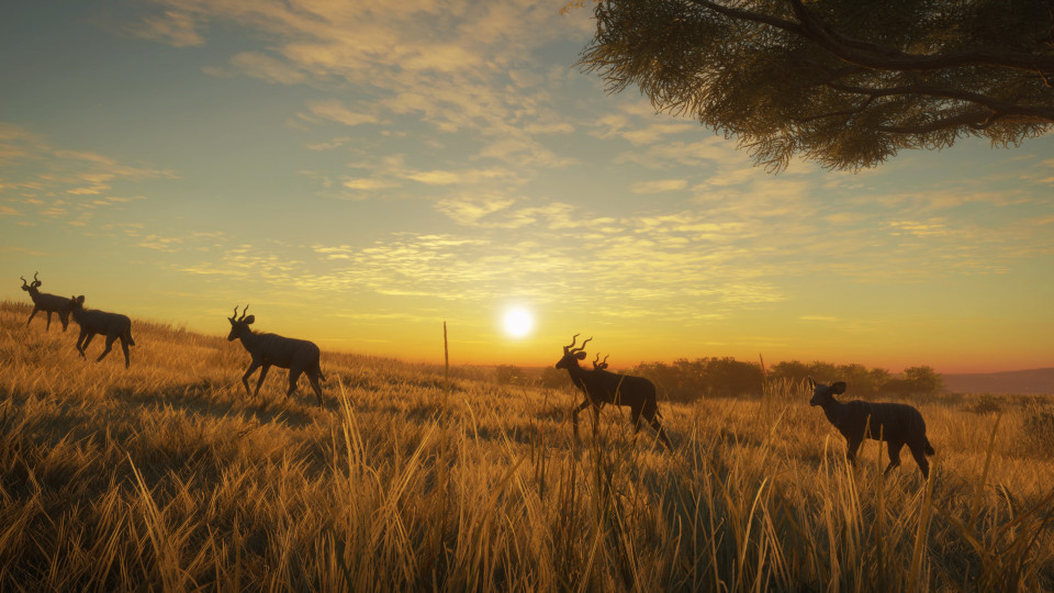theHunter: Call of the Wild - Vurhonga Savanna