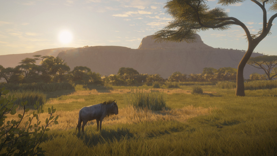 theHunter: Call of the Wild - Vurhonga Savanna